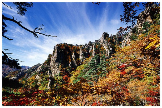 한반도의-가을-풍악산-아름다운-금강산의-가을-풍경.jpg