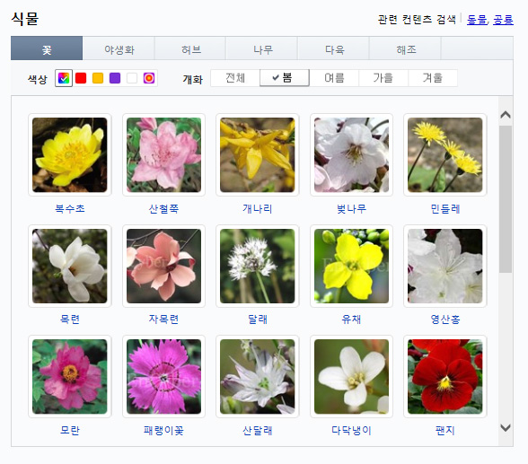 한반도의-봄꽃.jpg