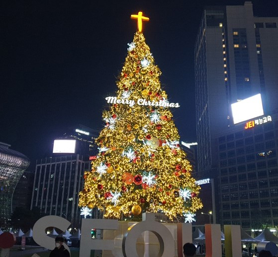 사본 -성탄절- 서울시청 광장의 크리스마스 트리.jpg