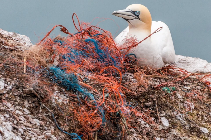 그린뉴딜 정부, 굴 껍질·플라스틱 불법 해양투기 의혹 불거져