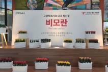 고양시 특산품 ‘비모란·장미’, 고양국제꽃박람회에 덩달아 인기...‘비모란’전국 생산량 45% 점유