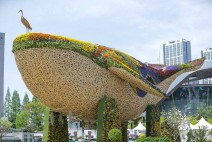 [포토뉴스] 2024고양국제꽃박회 ‘지구환경과 꽃’