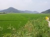 김해시 2025년까지 친환경농법 인증면적 400㏊ 확대