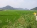 김해시 2025년까지 친환경농법 인증면적 400㏊ 확대