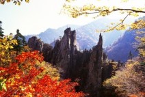 [청로 이용웅 칼럼] 가을! 錦繡江山의 자연, 丹楓과 落葉에 대한 斷想