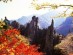 [청로 이용웅 칼럼] 가을! 錦繡江山의 자연, 丹楓과 落葉에 대한 斷想