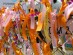 통일교육협의회, '통일 공감 마로니에 축제’ 성황리에 마무리
