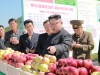 [청로 이용웅 칼럼] 김일성이 명명(命名)한 북한 ‘과일군’을 방문한 김정은 위원장