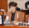 “미래통합당 김은혜 대변인, 폭주기관차의 마지막에 우리가 기억할 것들”