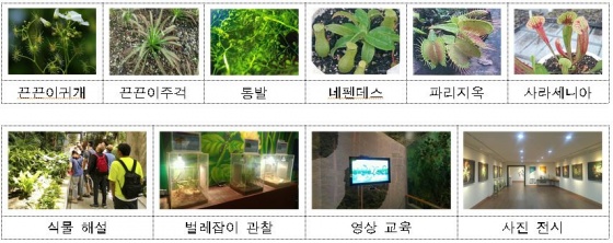 식충식물 교육프로그램